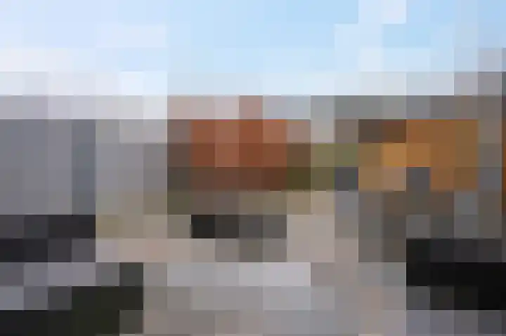 Het Kerspel 46 Hasselt thumbnail 18