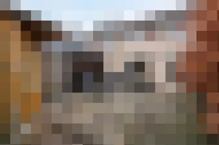Het Kerspel 46 Hasselt thumbnail 19