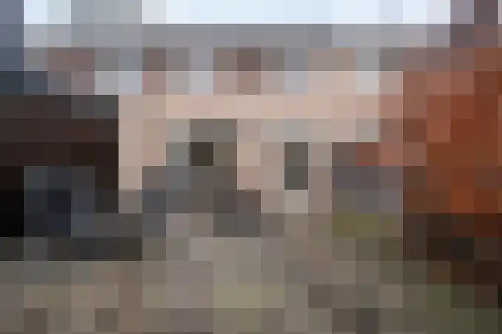 Het Kerspel 46 Hasselt thumbnail 20
