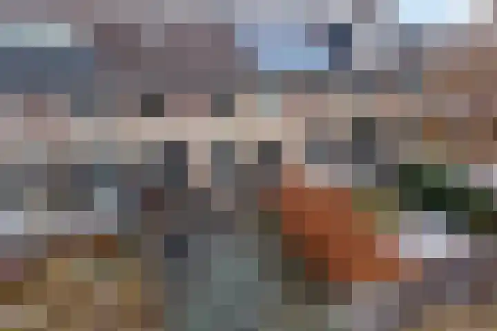 Het Kerspel 46 Hasselt thumbnail 21