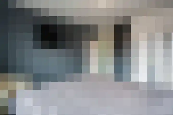 Het Kerspel 46 Hasselt thumbnail 24
