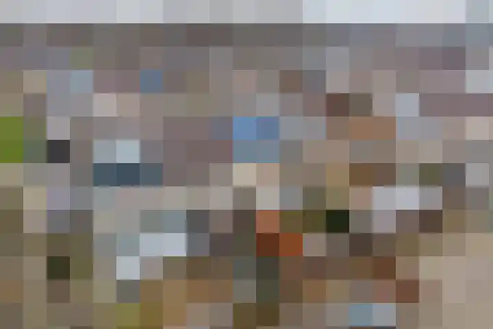 Het Kerspel 46 Hasselt thumbnail 37