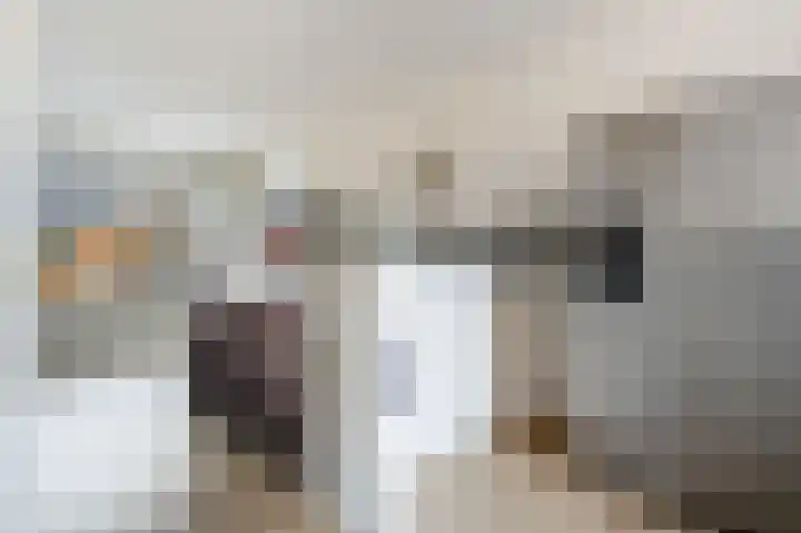 Het Kerspel 46 Hasselt thumbnail 8