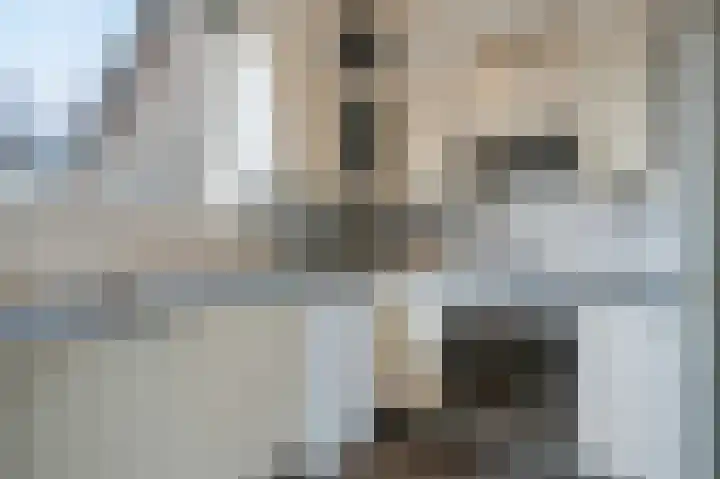 Het Kerspel 46 Hasselt thumbnail 9