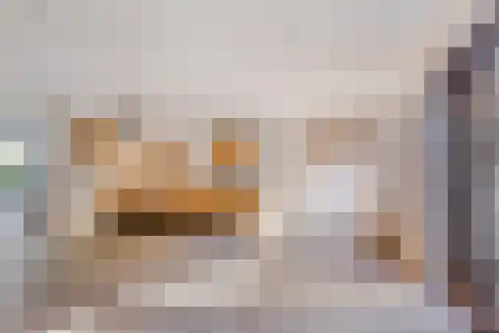 Het Kerspel 76 Hasselt thumbnail 10
