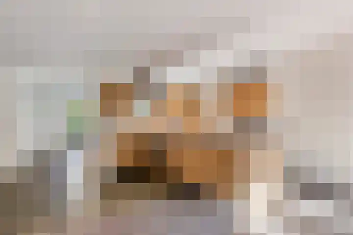 Het Kerspel 76 Hasselt thumbnail 12