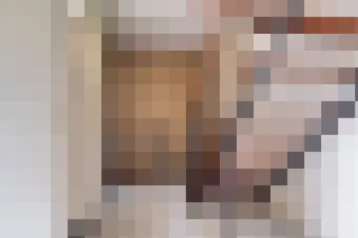 Het Kerspel 76 Hasselt thumbnail 16