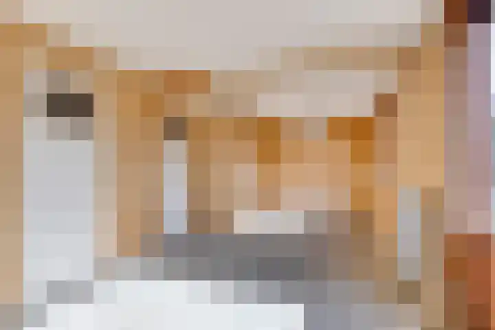 Het Kerspel 76 Hasselt thumbnail 17