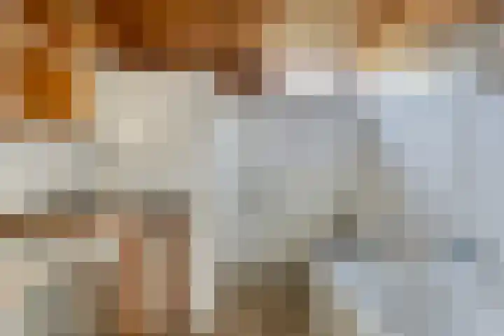 Het Kerspel 76 Hasselt thumbnail 19