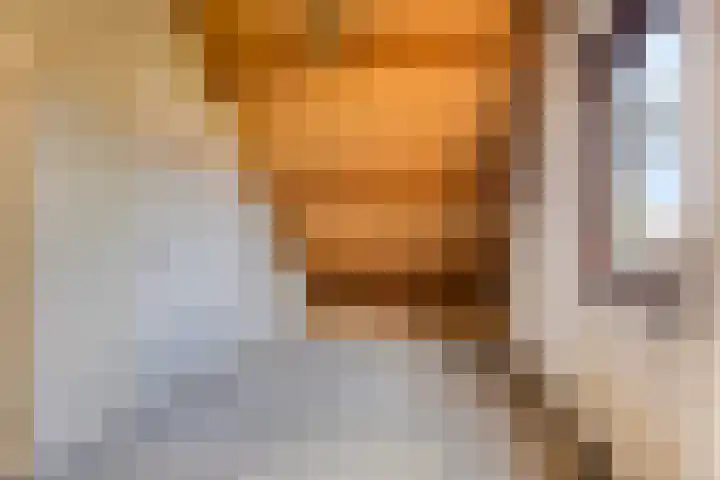 Het Kerspel 76 Hasselt thumbnail 24