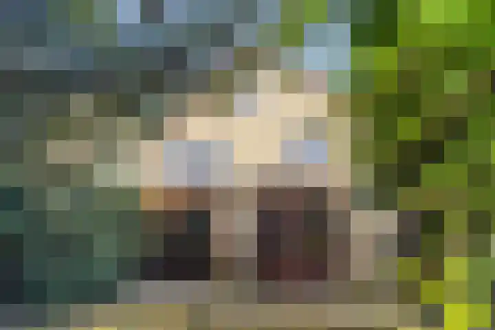 Het Kerspel 76 Hasselt thumbnail 28