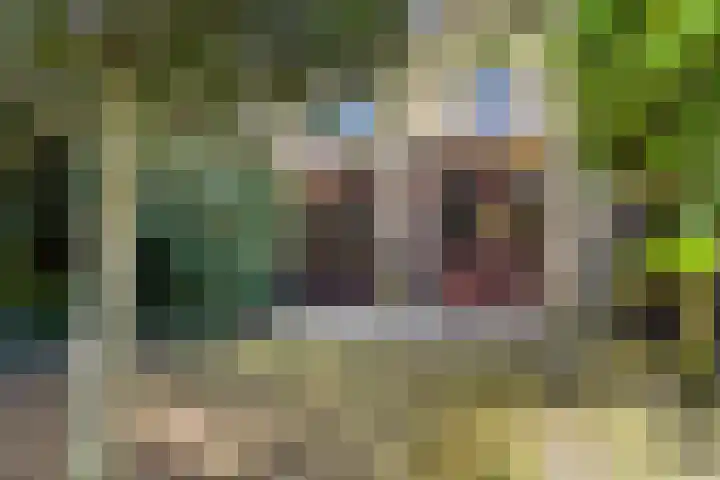 Het Kerspel 76 Hasselt thumbnail 29