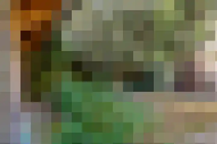 Het Kerspel 76 Hasselt thumbnail 30