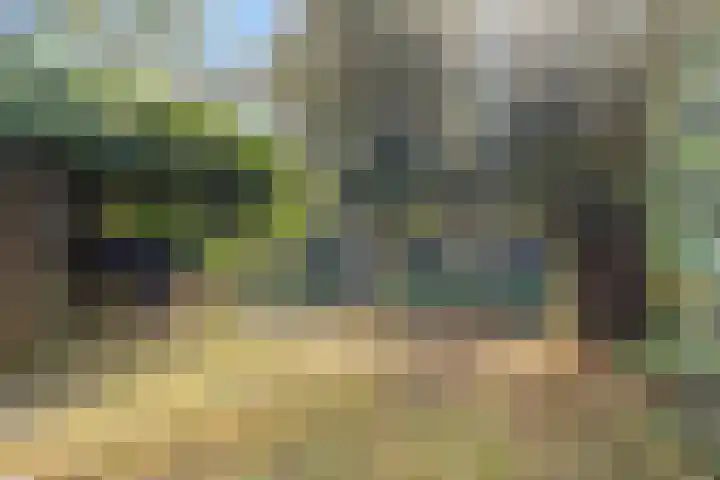 Het Kerspel 76 Hasselt thumbnail 31