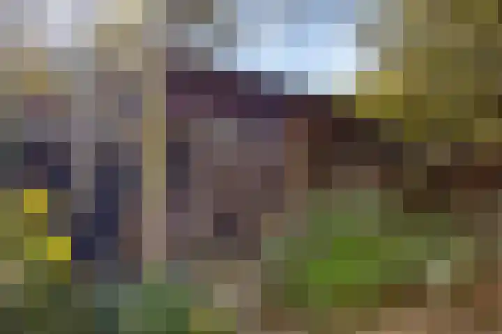 Het Kerspel 76 Hasselt thumbnail 32