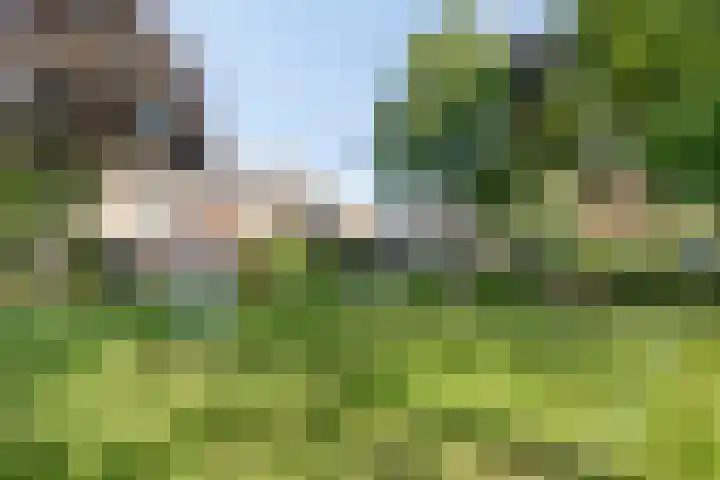 Het Kerspel 76 Hasselt thumbnail 33