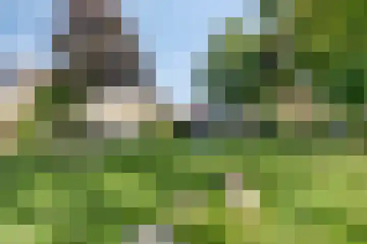Het Kerspel 76 Hasselt thumbnail 34