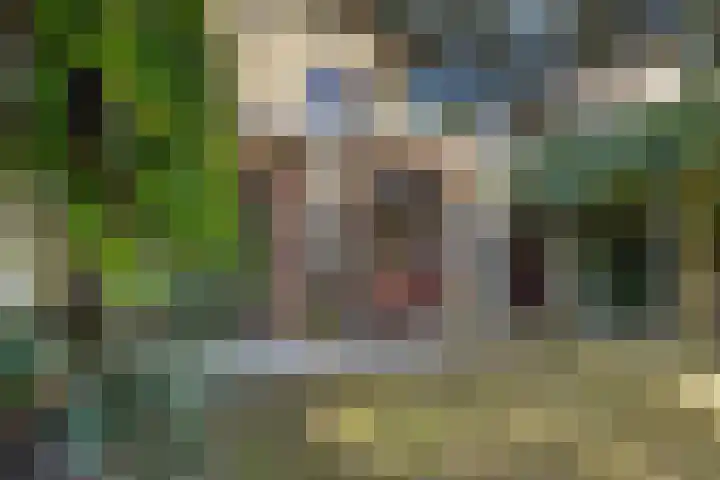 Het Kerspel 76 Hasselt thumbnail 35