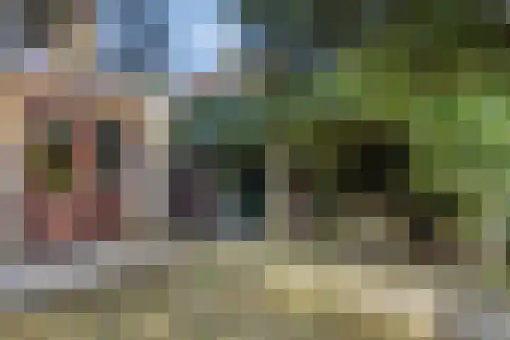 Het Kerspel 76 Hasselt thumbnail 36