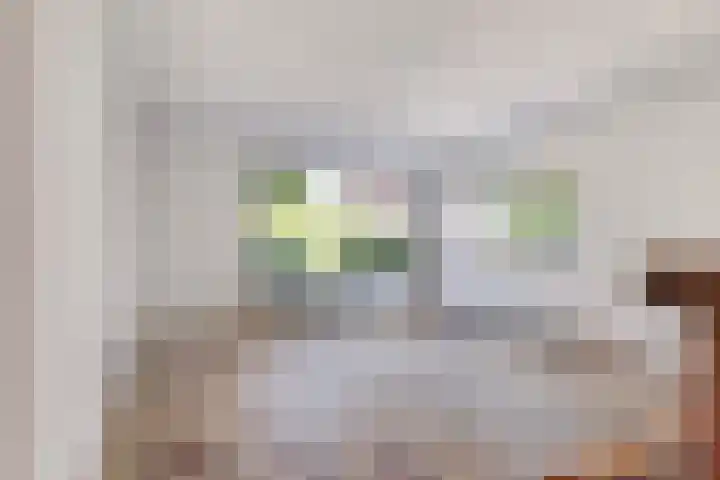 Het Kerspel 76 Hasselt thumbnail 6