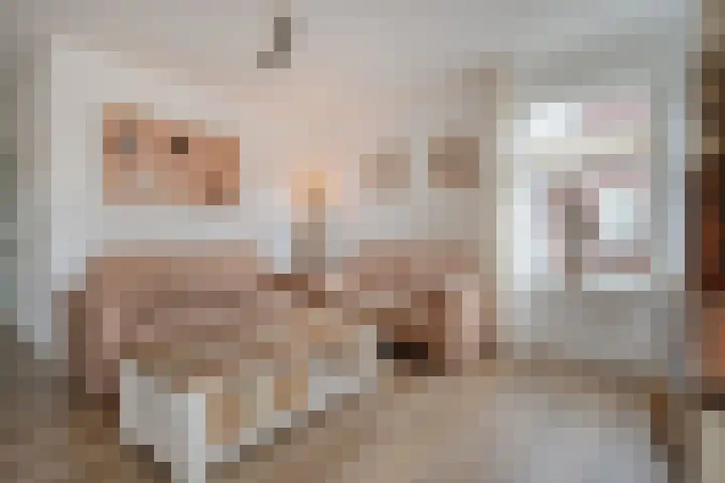 Het Kienhout 33 Slagharen thumbnail 10