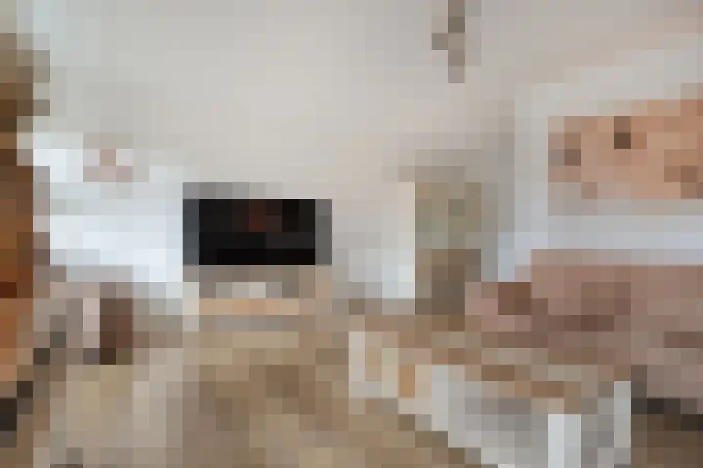 Het Kienhout 33 Slagharen thumbnail 11