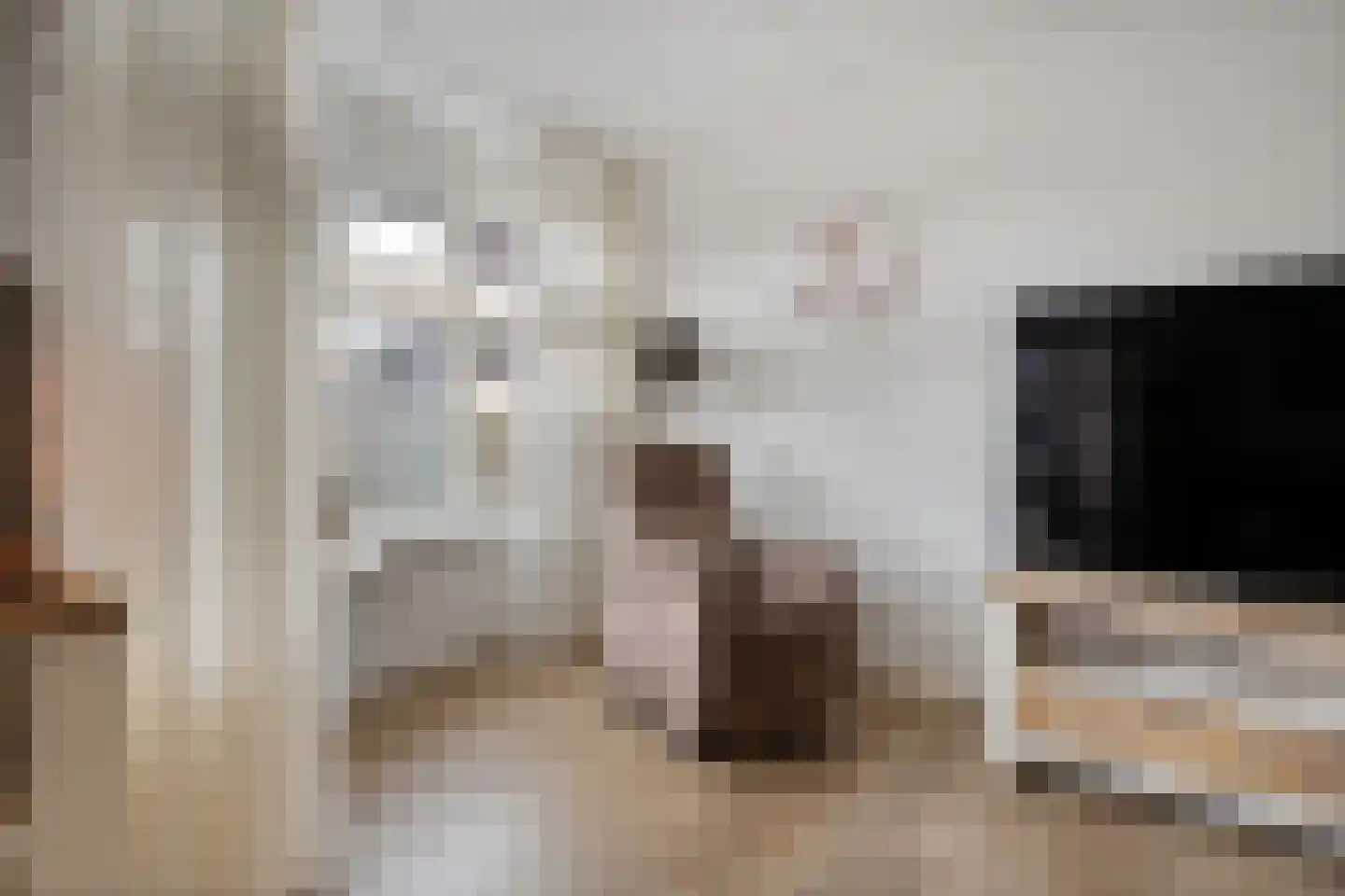 Het Kienhout 33 Slagharen thumbnail 12