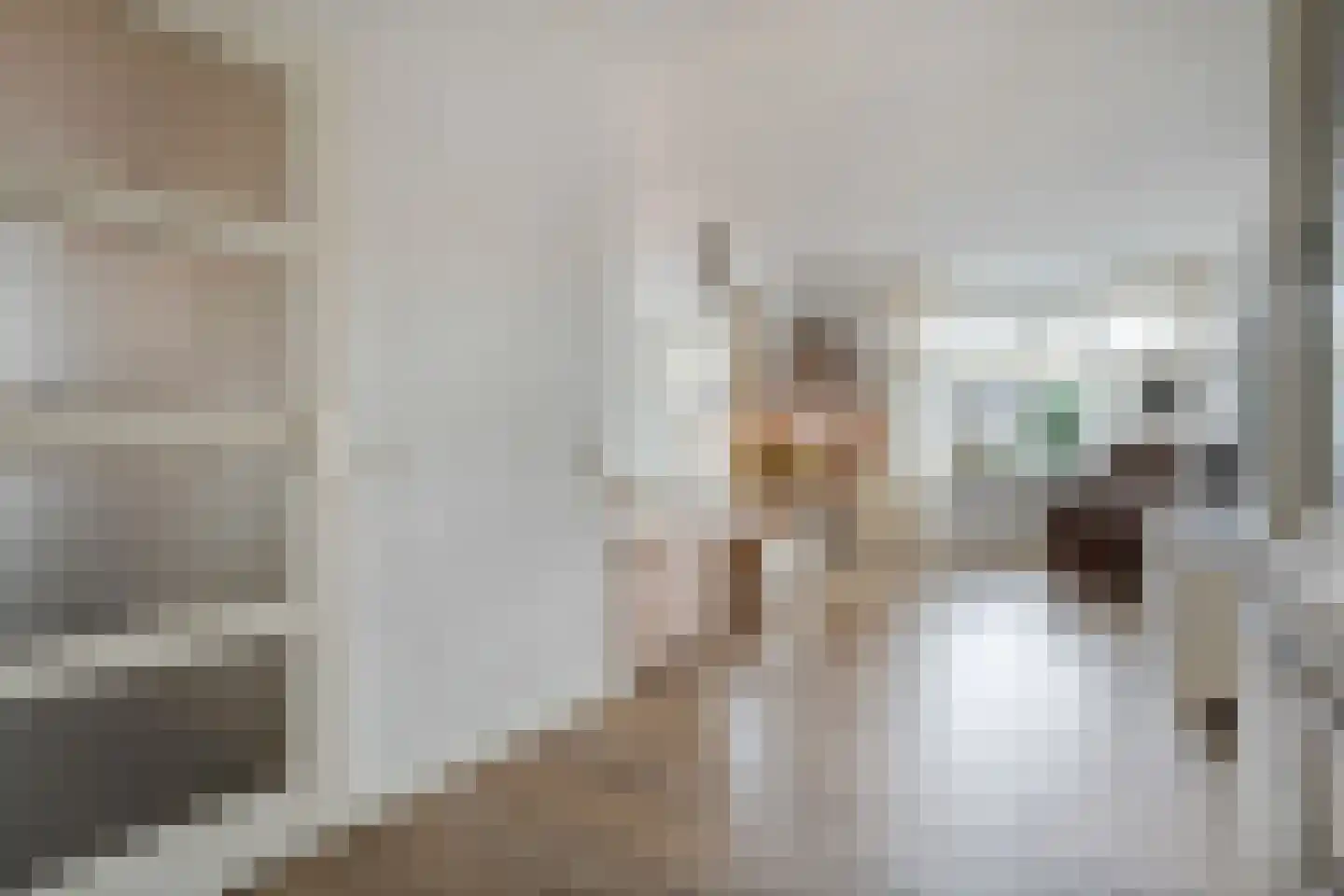Het Kienhout 33 Slagharen thumbnail 16