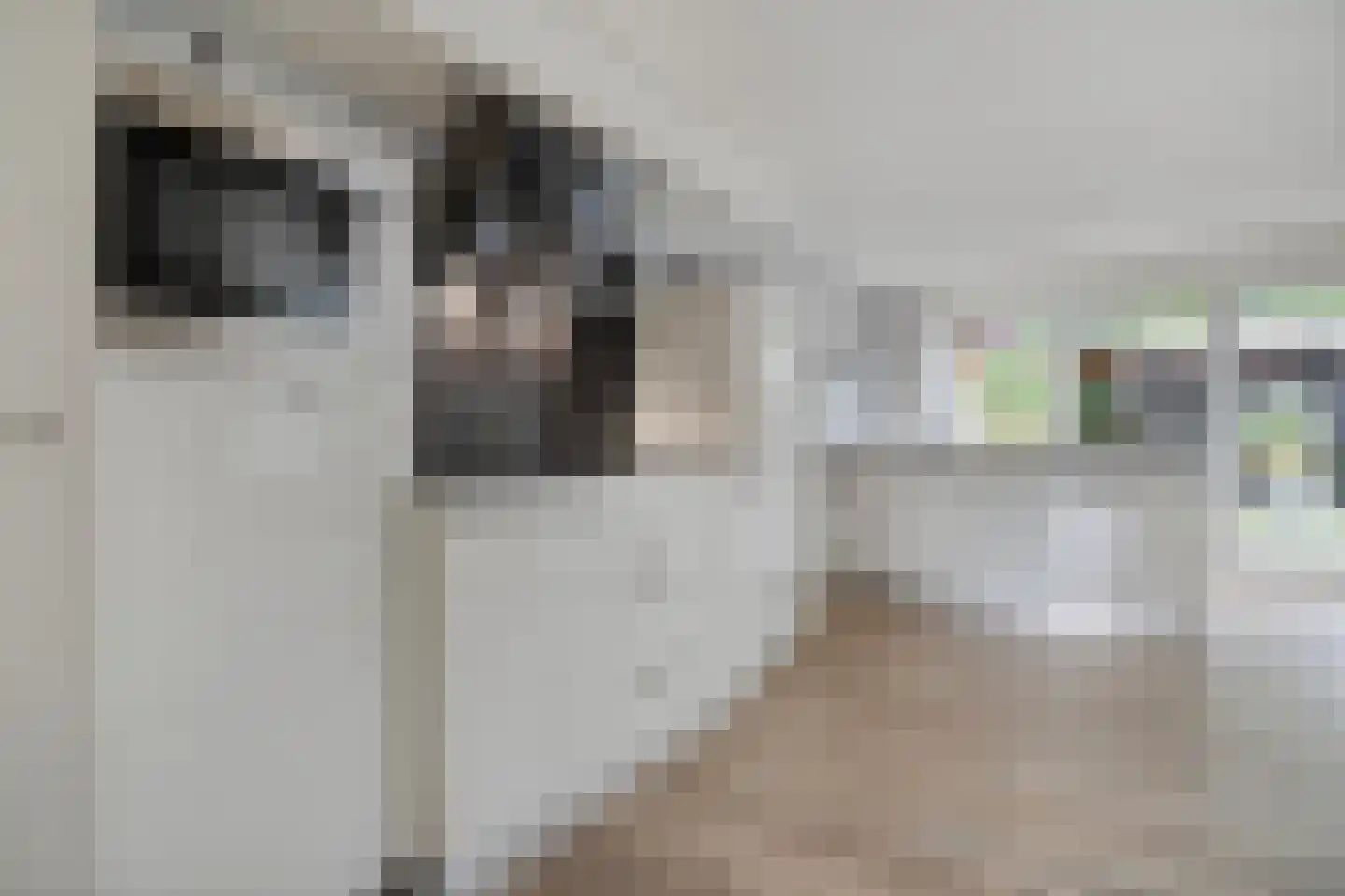 Het Kienhout 33 Slagharen thumbnail 17