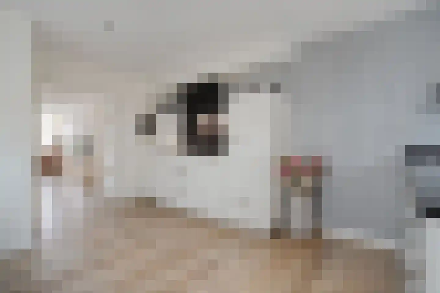 Het Kienhout 33 Slagharen thumbnail 19