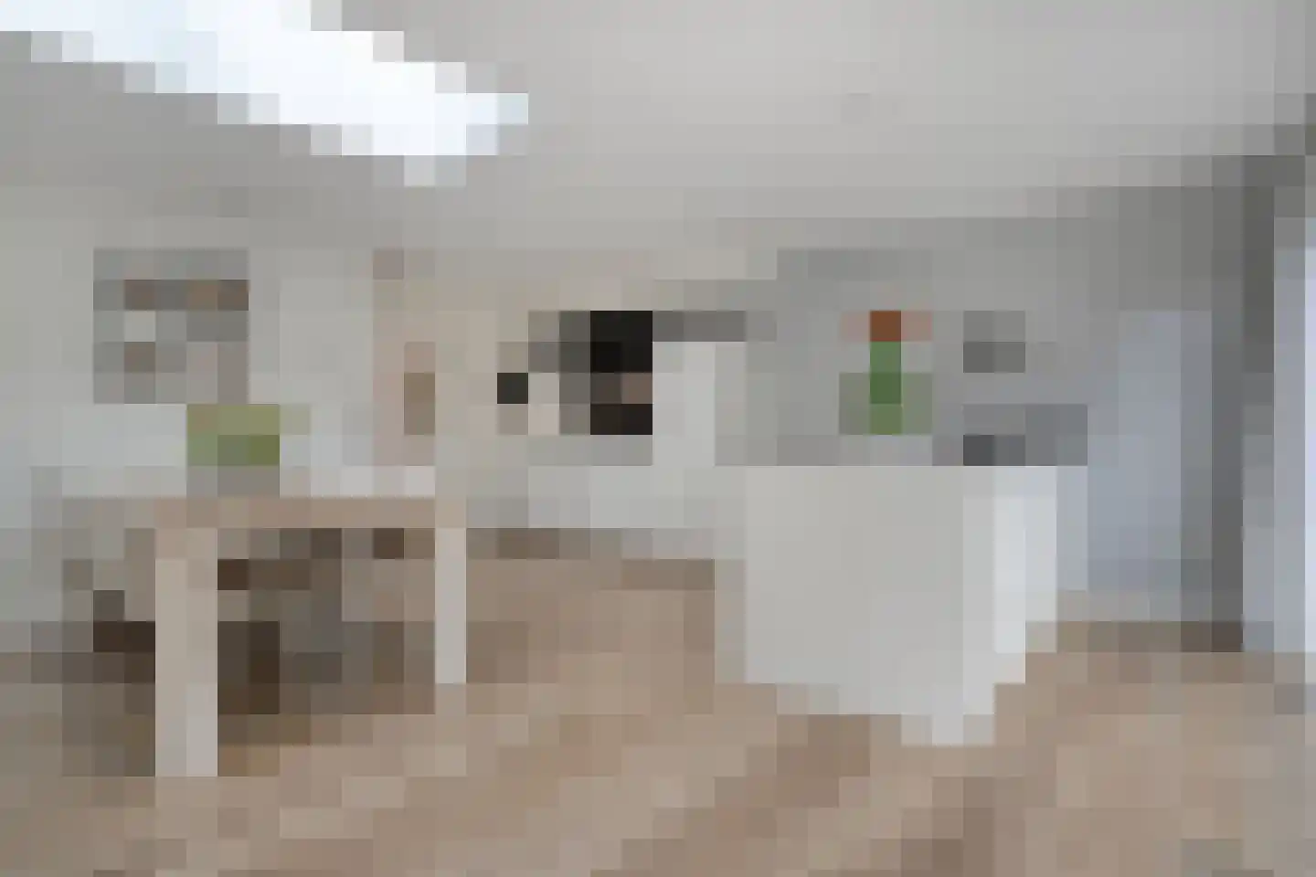 Het Kienhout 33 Slagharen thumbnail 21