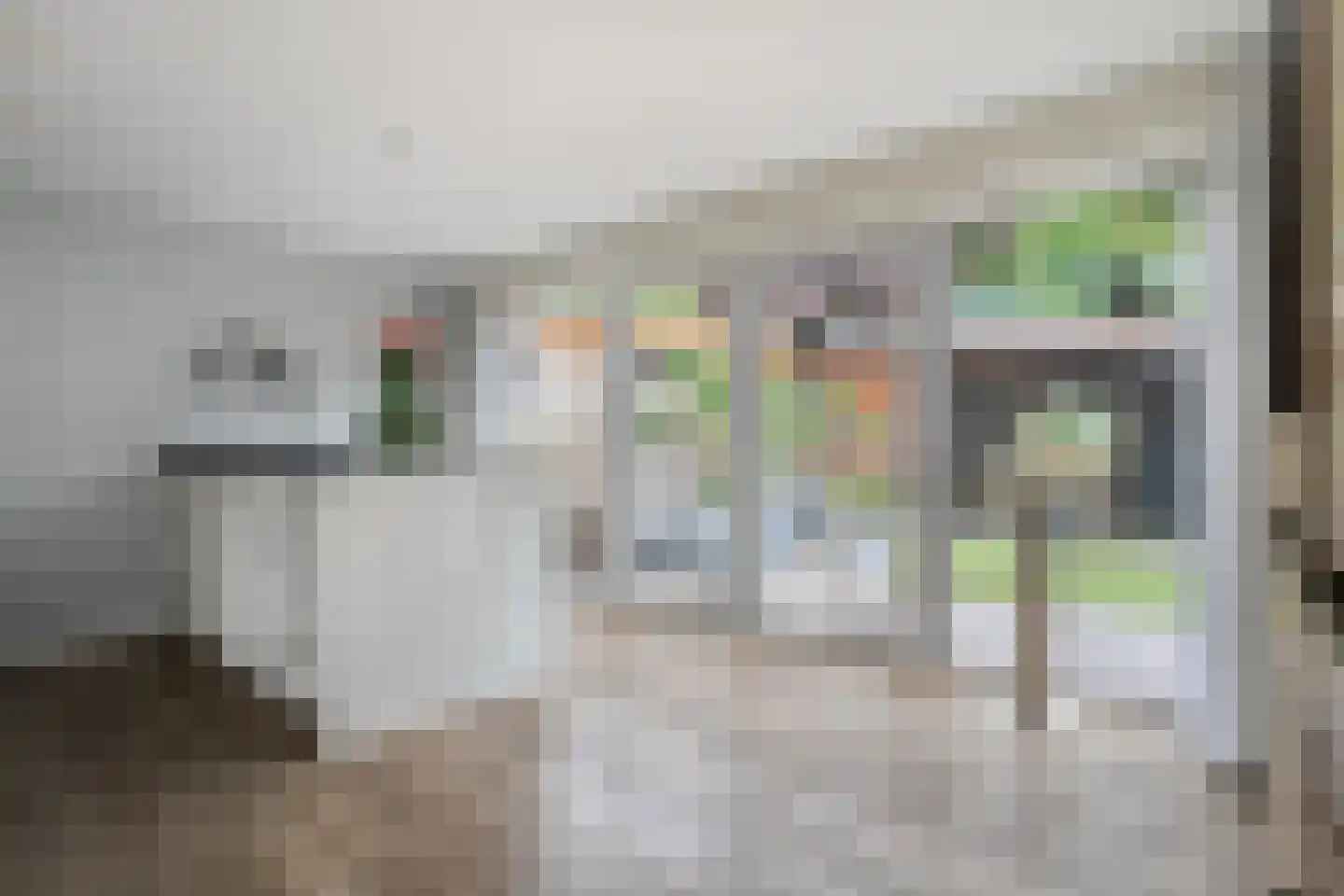 Het Kienhout 33 Slagharen thumbnail 22