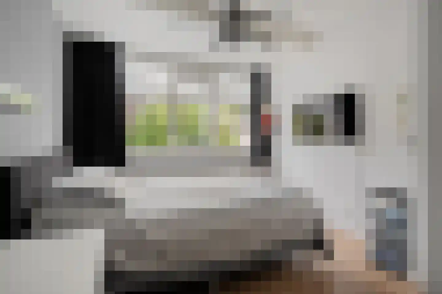 Het Kienhout 33 Slagharen thumbnail 29