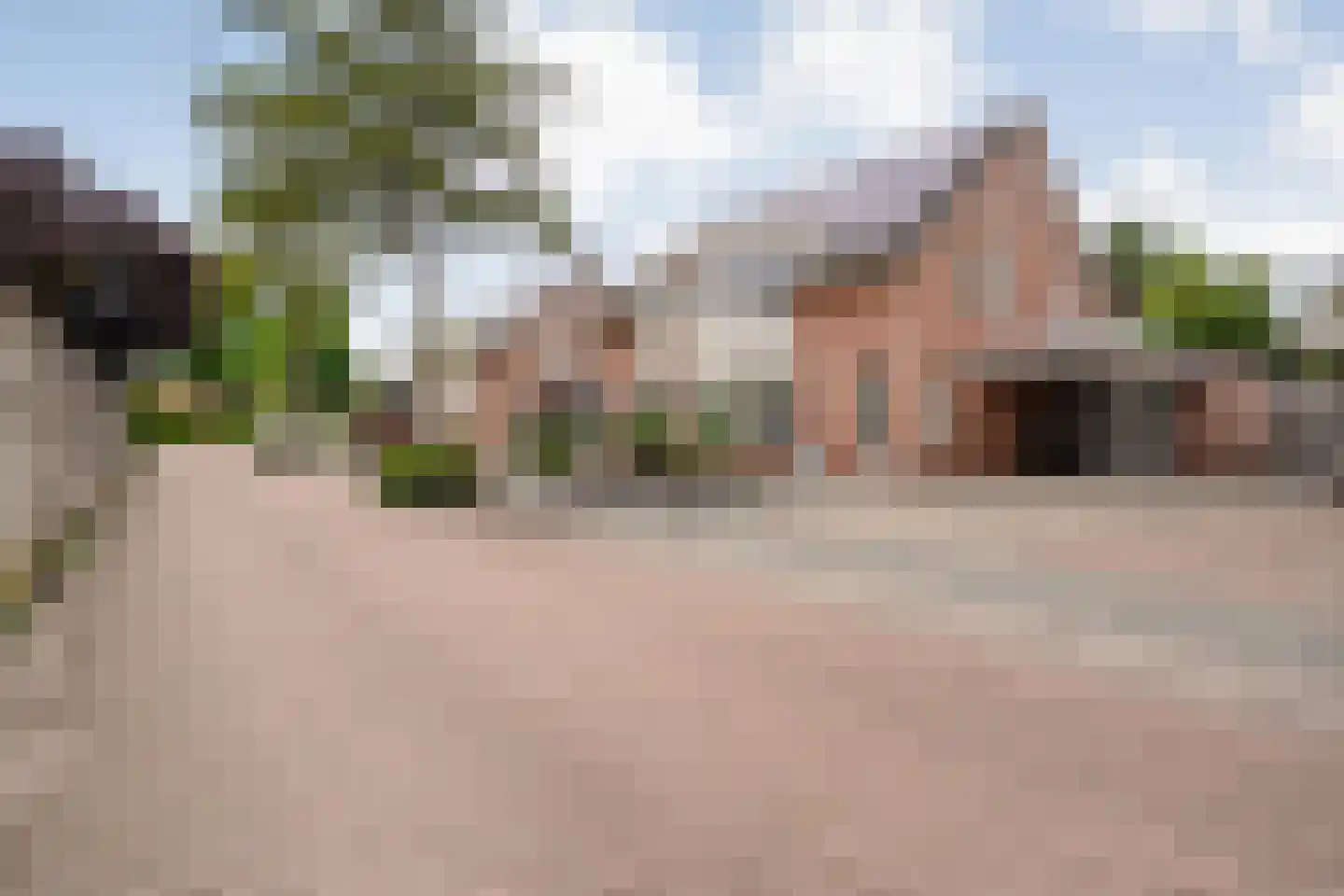 Het Kienhout 33 Slagharen foto 3