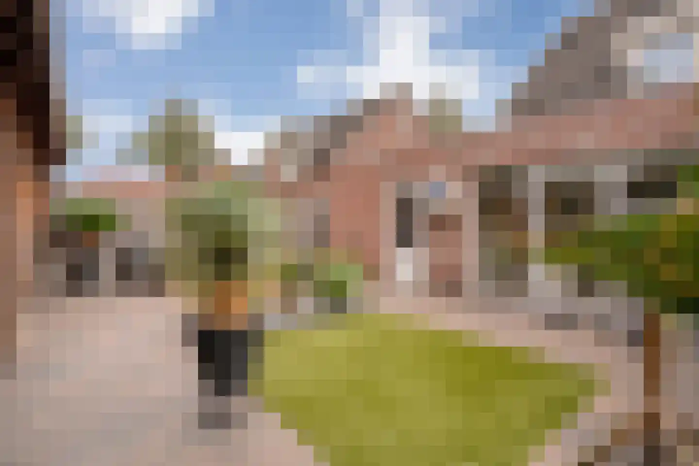 Het Kienhout 33 Slagharen thumbnail 40