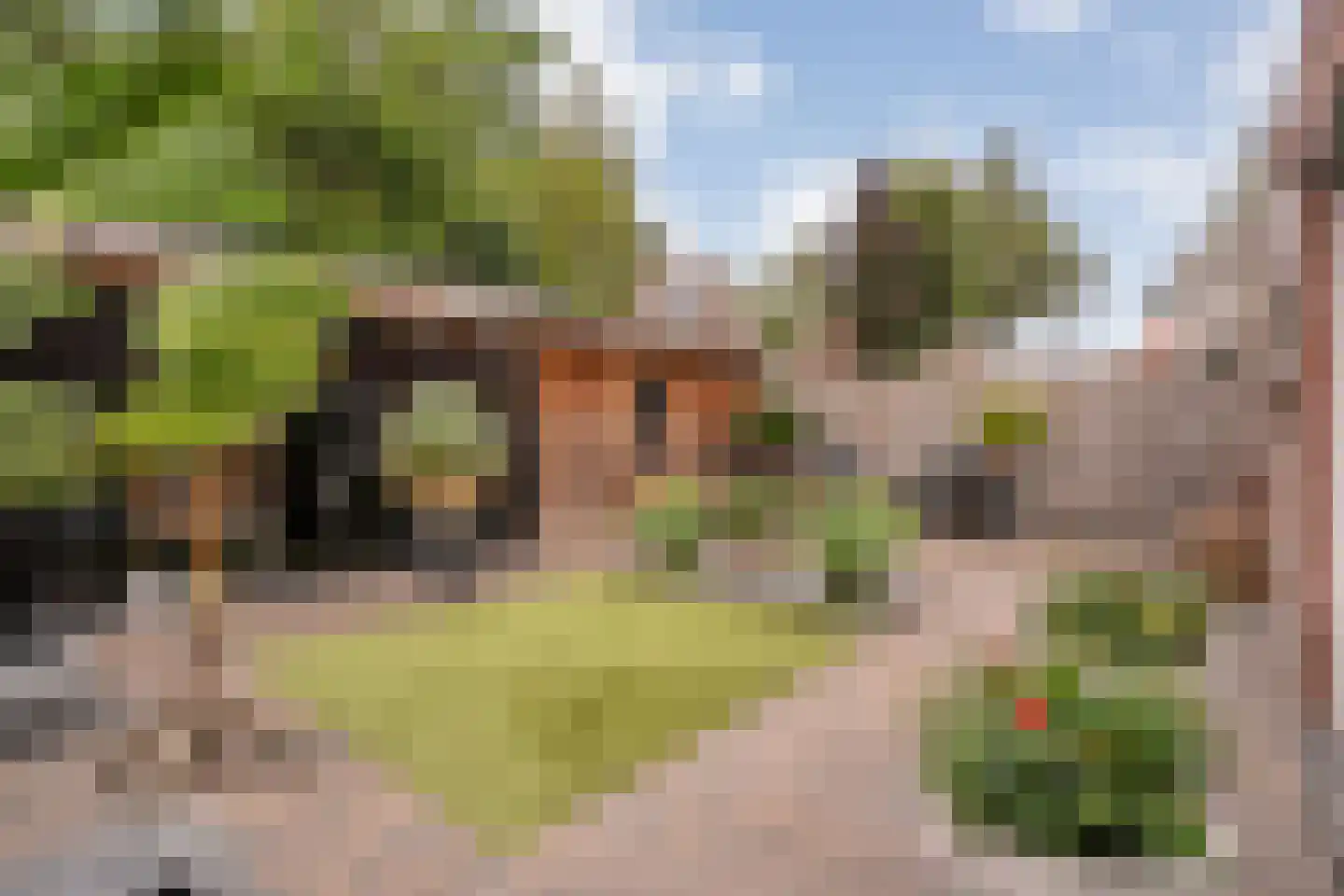 Het Kienhout 33 Slagharen thumbnail 41