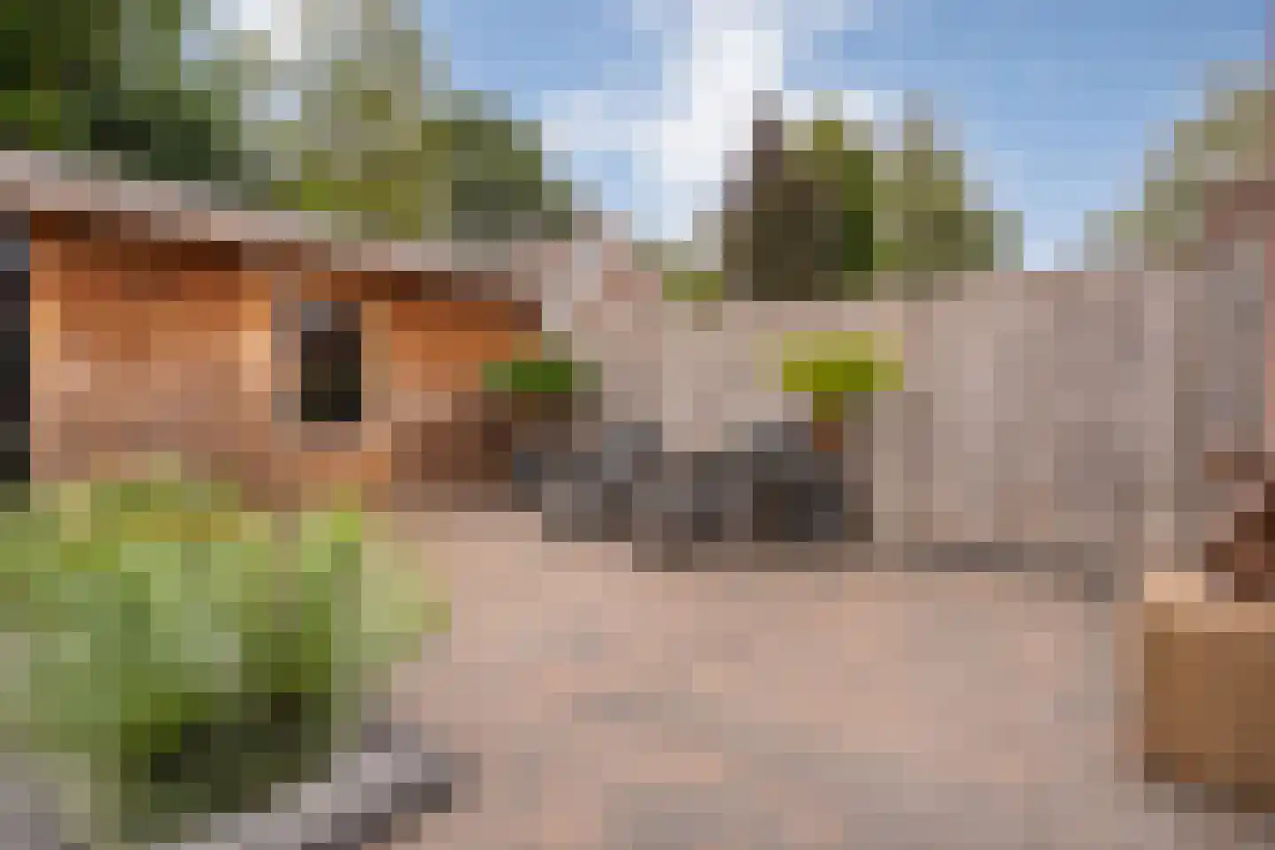 Het Kienhout 33 Slagharen thumbnail 45