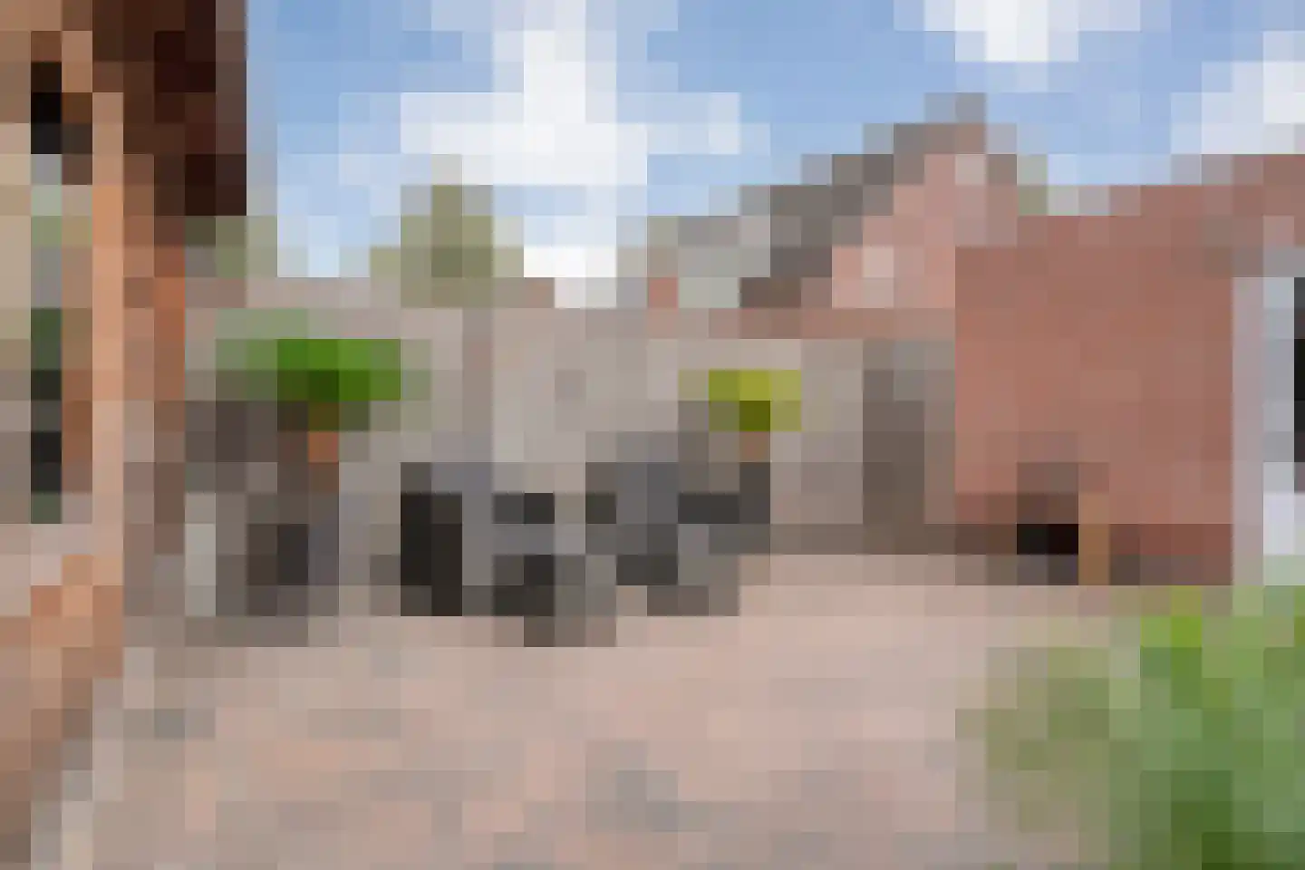 Het Kienhout 33 Slagharen thumbnail 46