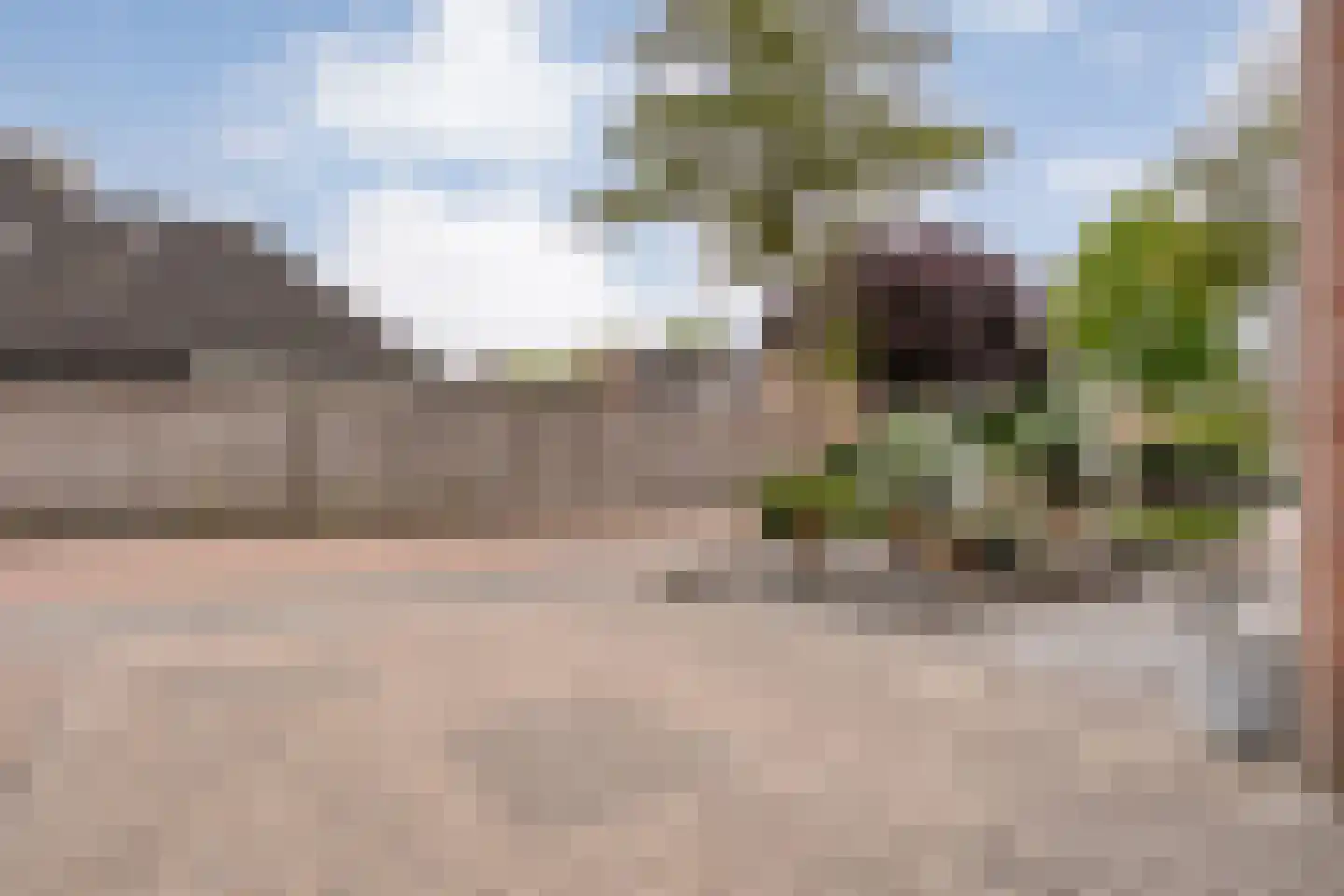 Het Kienhout 33 Slagharen thumbnail 5