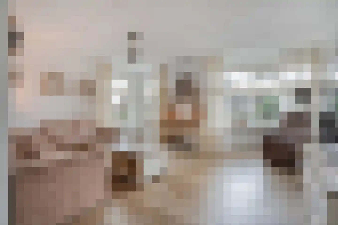 Het Kienhout 33 Slagharen thumbnail 9