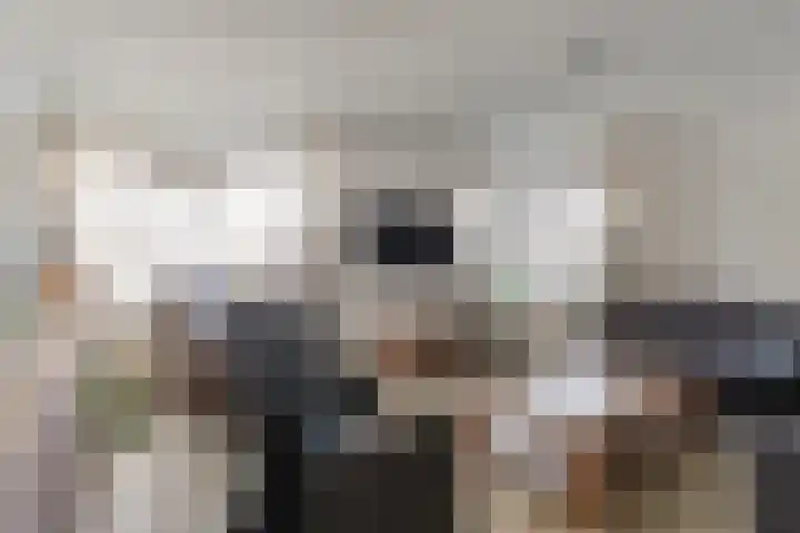 Het Kienhout 9 Slagharen thumbnail 12