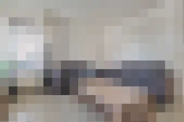 Het Kienhout 9 Slagharen thumbnail 14
