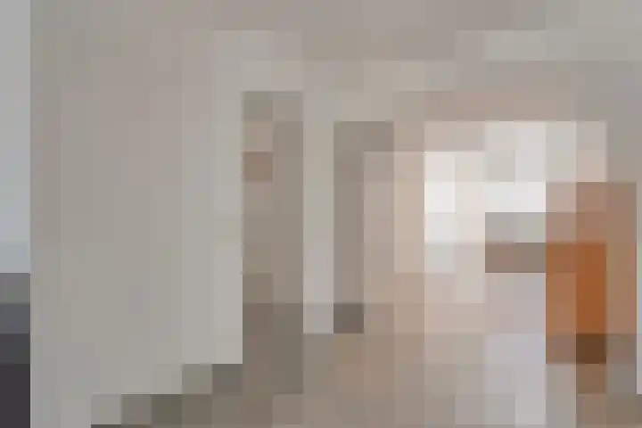 Het Kienhout 9 Slagharen thumbnail 15