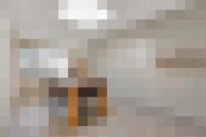 Het Kienhout 9 Slagharen thumbnail 17