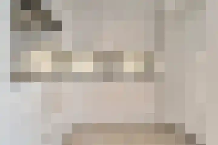 Het Kienhout 9 Slagharen thumbnail 20