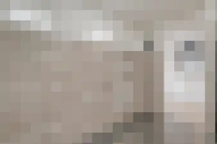 Het Kienhout 9 Slagharen thumbnail 24