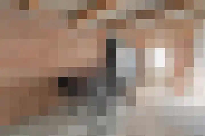Het Kienhout 9 Slagharen thumbnail 26