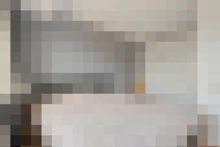 Het Kienhout 9 Slagharen thumbnail 30