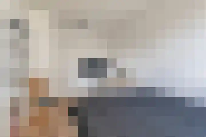 Het Kienhout 9 Slagharen thumbnail 35