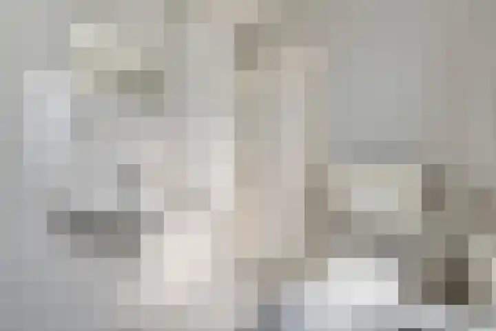 Het Kienhout 9 Slagharen thumbnail 38